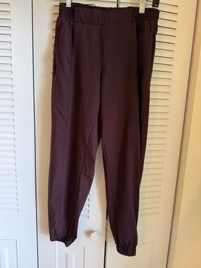 Casual Elastic Ankle Jogger Pants in Deep Plum
